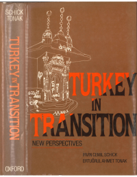 cover of the book Turkey in Transition: New Perspectives