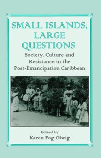 cover of the book Small Islands, Large Questions: Society, Culture and Resistance in the Post-Emancipation Caribbean