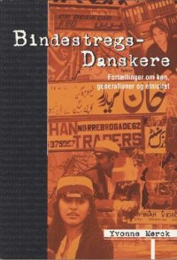 cover of the book Bindestregsdanskere: fortællinger om køn, generationer og etnicitet