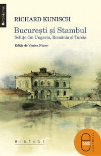 cover of the book Bucuresti şi Stambul. Schiţe din Ungaria, România şi Turcia