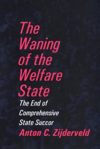 cover of the book The Waning of the Welfare State: The End of Comprehensive State Succor