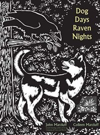 cover of the book Dog Days, Raven Nights