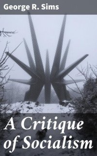 cover of the book A Critique of Socialism