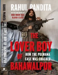 cover of the book The Lover Boy of Bahawalpur