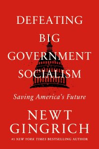 cover of the book Defeating Big Government Socialism: Saving America's Future