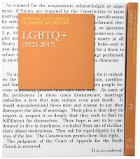 cover of the book Defining Documents in American History: LGBTQ+