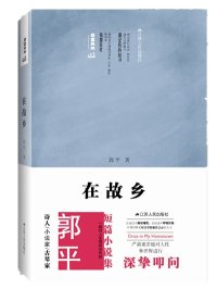 cover of the book 在故乡