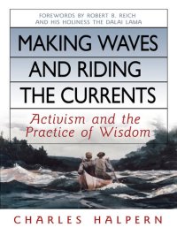 cover of the book Making Waves and Riding the Currents: Activism and the Practice of Wisdom