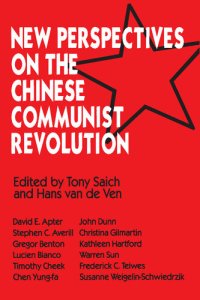 cover of the book New Perspectives on the Chinese Revolution