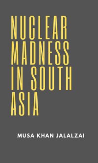 cover of the book Nuclear Madness in South Asia