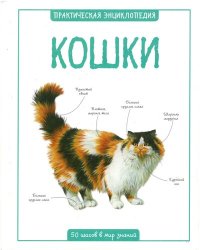 cover of the book Кошки