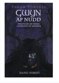 cover of the book Pagan Portals - Gwyn ap Nudd: Wild God of Faery, Guardian of Annwfn