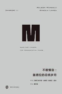 cover of the book 不敢懈怠: 曼德拉的总统岁月