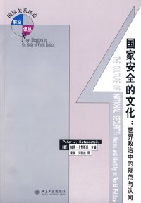 cover of the book 国家安全的文化: 世界政治中的规范与认同