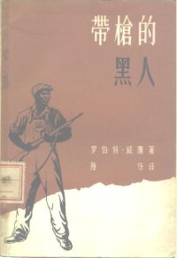 cover of the book 带枪的黑人