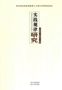 cover of the book 实践规律研究