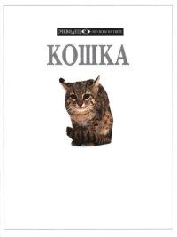 cover of the book Кошка