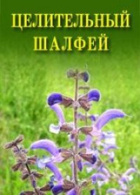 cover of the book Целительный шалфей