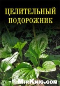 cover of the book Целительный подорожник