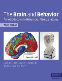 cover of the book The Brain and Behavior: An Introduction to Behavioral Neuroanatomy