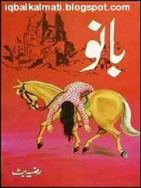 cover of the book بانو / Bano