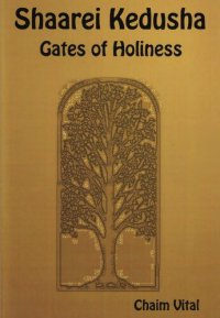 cover of the book Shaarei Kedusha - Gates of Holiness