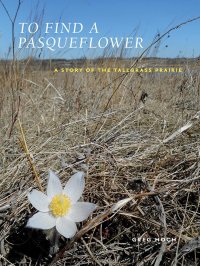 cover of the book To Find a Pasqueflower: A Story of the Tallgrass Prairie