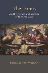 cover of the book The Trinity: On the Nature and Mystery of the One God