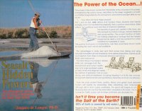 cover of the book Seasalt's Hidden Powers - The Biological Action of all Ocean Minerals on Body and Mind