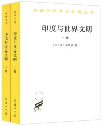 cover of the book 印度与世界文明（上）