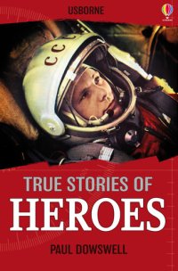 cover of the book Usborne True Stories of Heroes