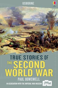 cover of the book Usborne True Stories: The Second World War