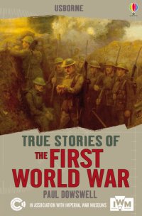 cover of the book Usborne True Stories: The First World War