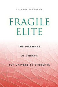 cover of the book Fragile Elite: The Dilemmas of China's Top University Students