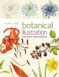 cover of the book Botanical Illustration: The Next Ten Lessons: Colour and Composition