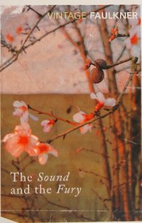 cover of the book The Sound and the Fury