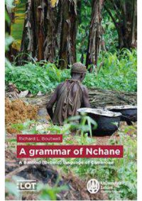 cover of the book A grammar of Nchane - A Bantoid (Beboid) language of Cameroon