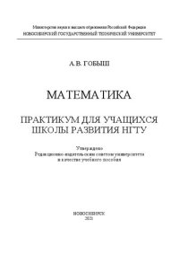 cover of the book Математика. Практикум для учащихся Школы развития НГТУ: Учебное пособие