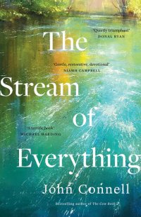 cover of the book The Stream of Everything