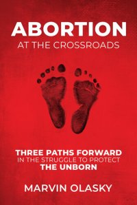 cover of the book Abortion at the Crossroads: Three Paths Forward in the Struggle to Protect the Unborn