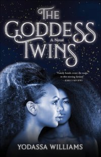 cover of the book The Goddess Twins: A Novel