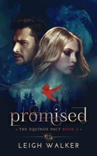 cover of the book Promised: A Young Adult Paranormal Romance