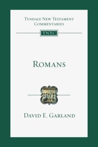 cover of the book Romans