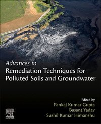 cover of the book Advances in Remediation Techniques for Polluted Soils and Groundwater