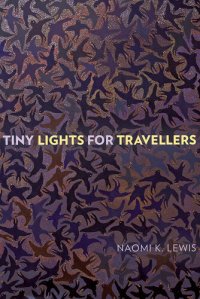 cover of the book Tiny Lights for Travellers