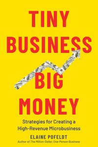 cover of the book Tiny Business, Big Money: Strategies for Creating a High-Revenue Microbusiness