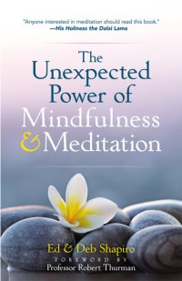 cover of the book The Unexpected Power of Mindfulness and Meditation