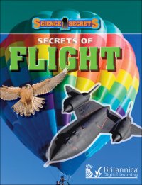 cover of the book Secrets of Flight