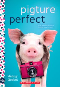 cover of the book Pigture Perfect