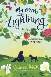 cover of the book My Own Lightning